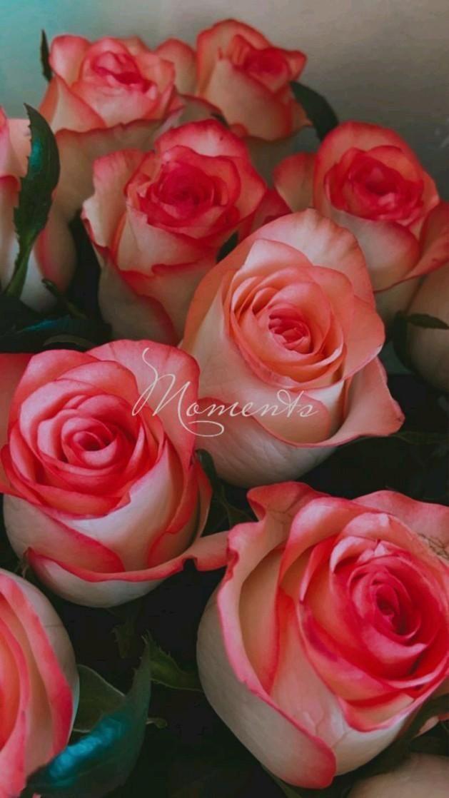 Whisper of Spring Serenade Bouquet